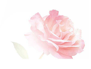 什么妇科疾病会简介导致宫外孕?